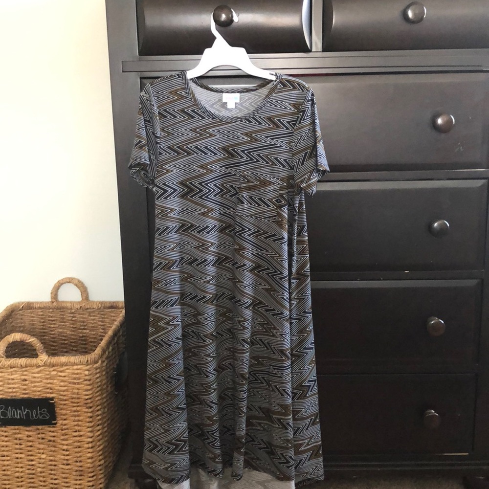 Adorable LULAROE Carly!! Worn 1x